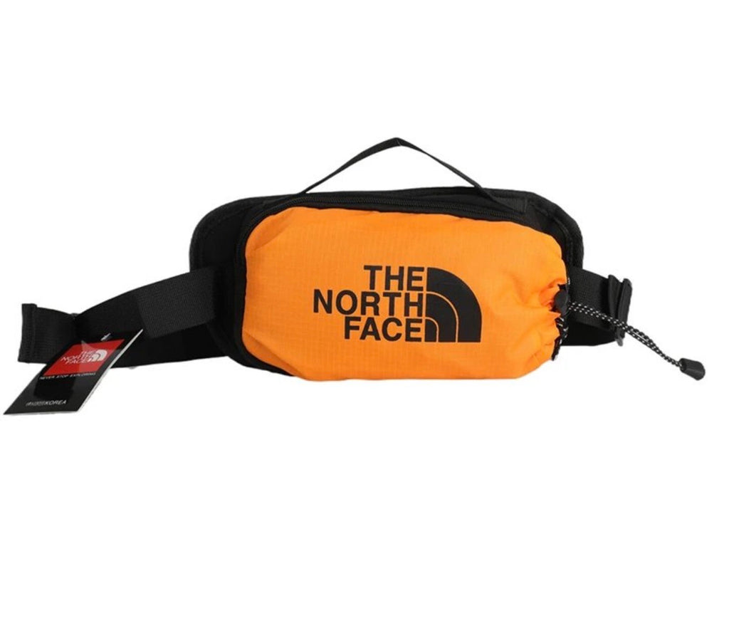 North face bag