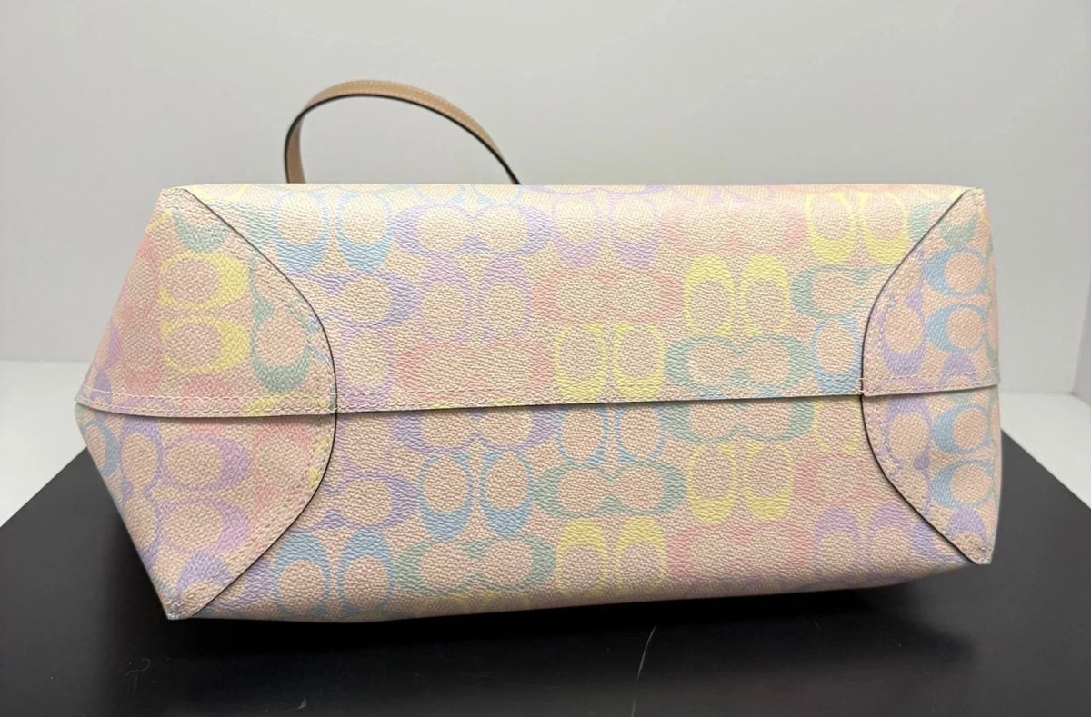 Coach rainbow tote
