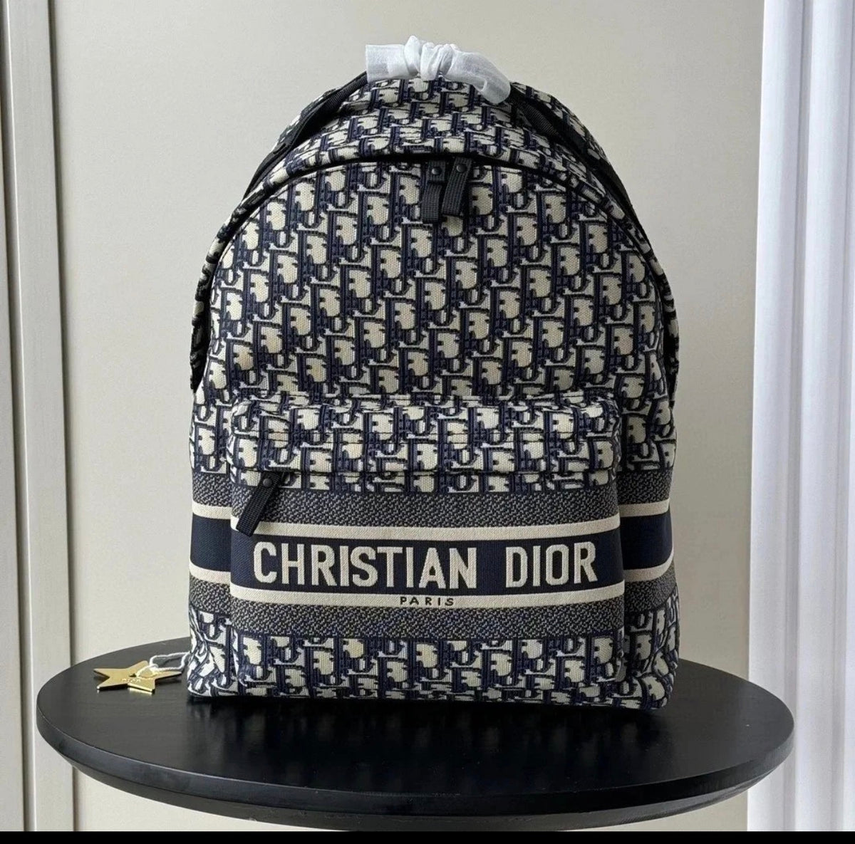 Dior backpack