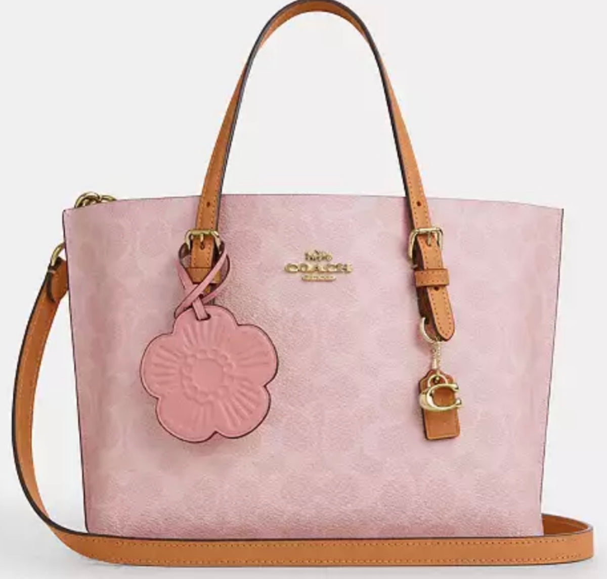 Coach mollie tote